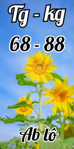 378243542_664201439004287_4142999739695117749_n.jpg