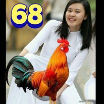 385510441_403284552024871_2580882425837527021_n.jpg