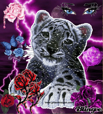 3cd1f96e77929b7283c75fa88030e5e6.gif