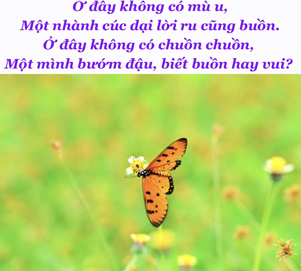 3F7969C3-CC73-4FF1-83D0-66600AEDDD2B.jpeg
