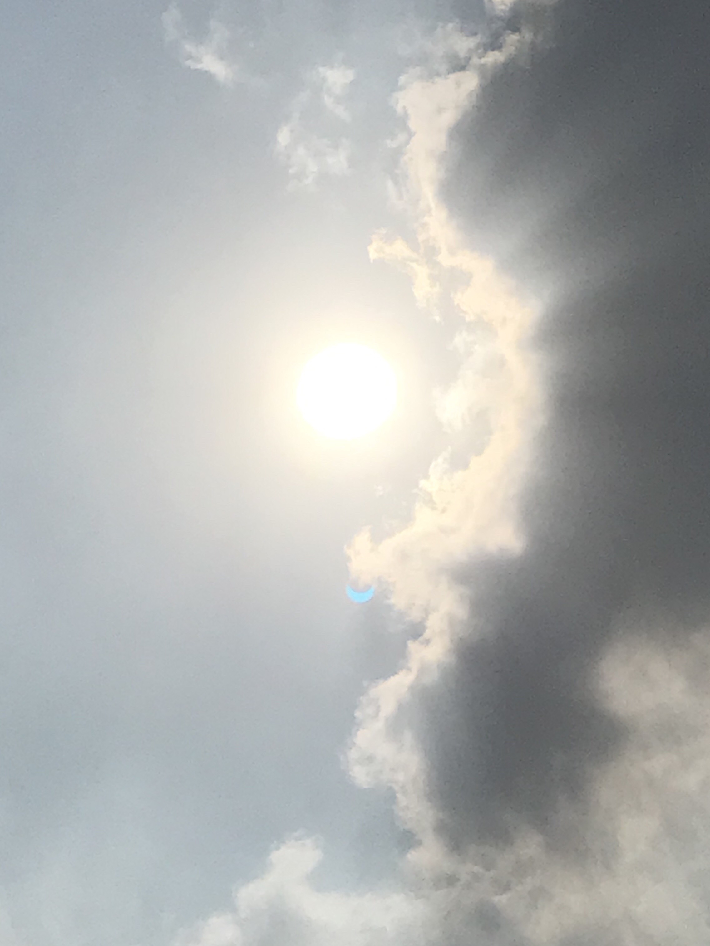 4A586A8B-A14F-4DA2-9E93-C8F674A64620.jpeg