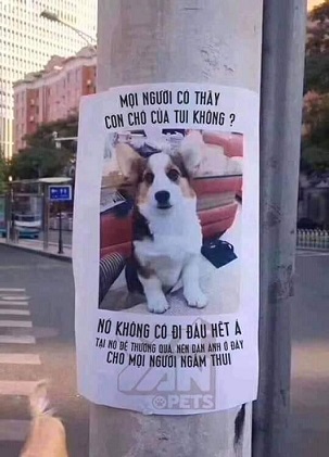 5A11C3BE-FD30-40BE-8403-2E22FE8CE2FA.jpeg