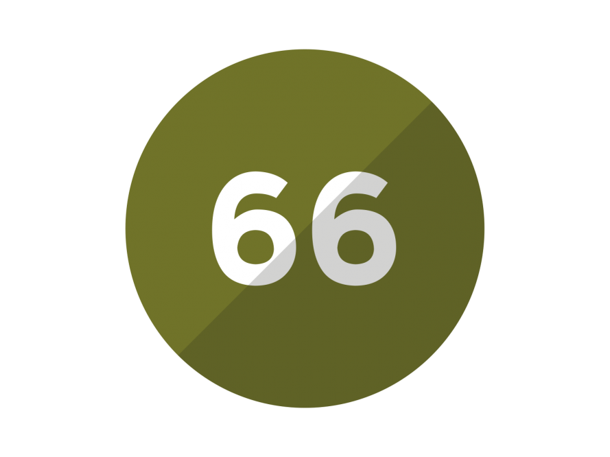 66.png