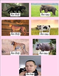 67C63724-5B43-41C9-A0E7-F7E159C54DAE.jpeg