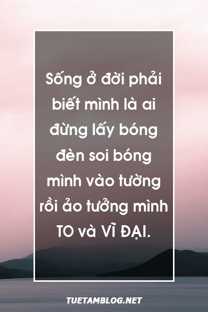 6f0be74d81f84864a85c1bde4e22fb9c.png