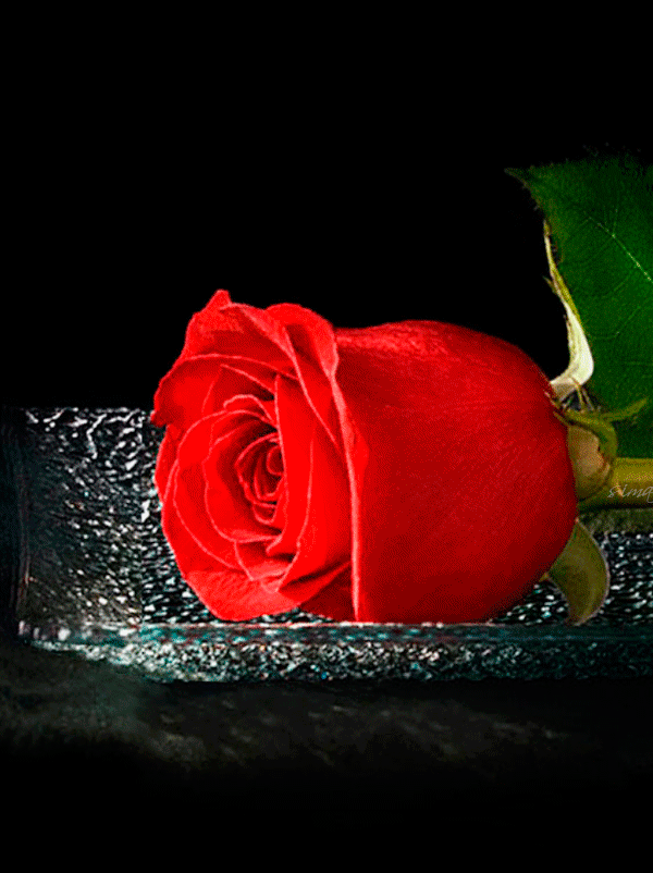 7b5d38f4900ebd8d7932f598994b5305.gif