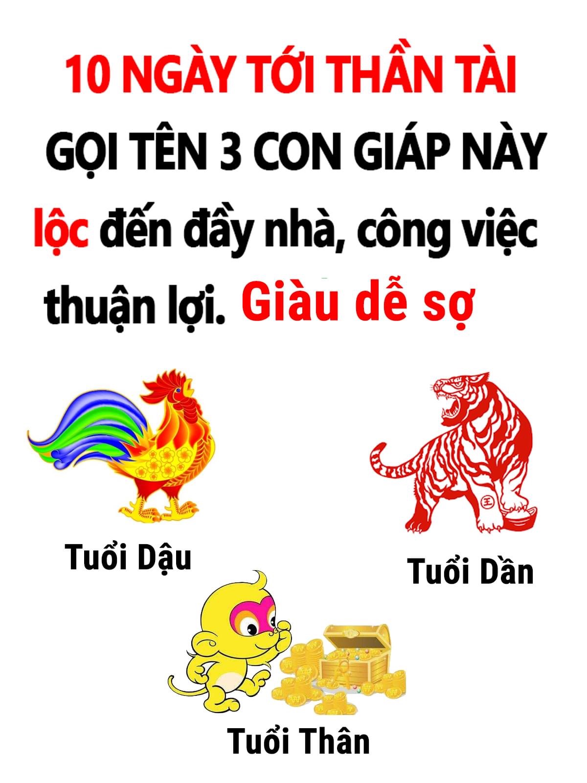 7DA0AC64-BC8F-47B0-AE50-55F49FB8454C.jpeg