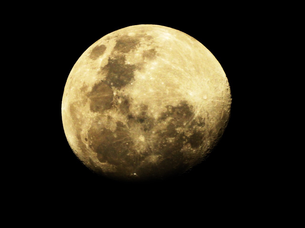 81E59950-FD29-48AA-89A2-4E14A0D1291F.jpeg