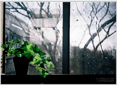 87e3373f[1].gif