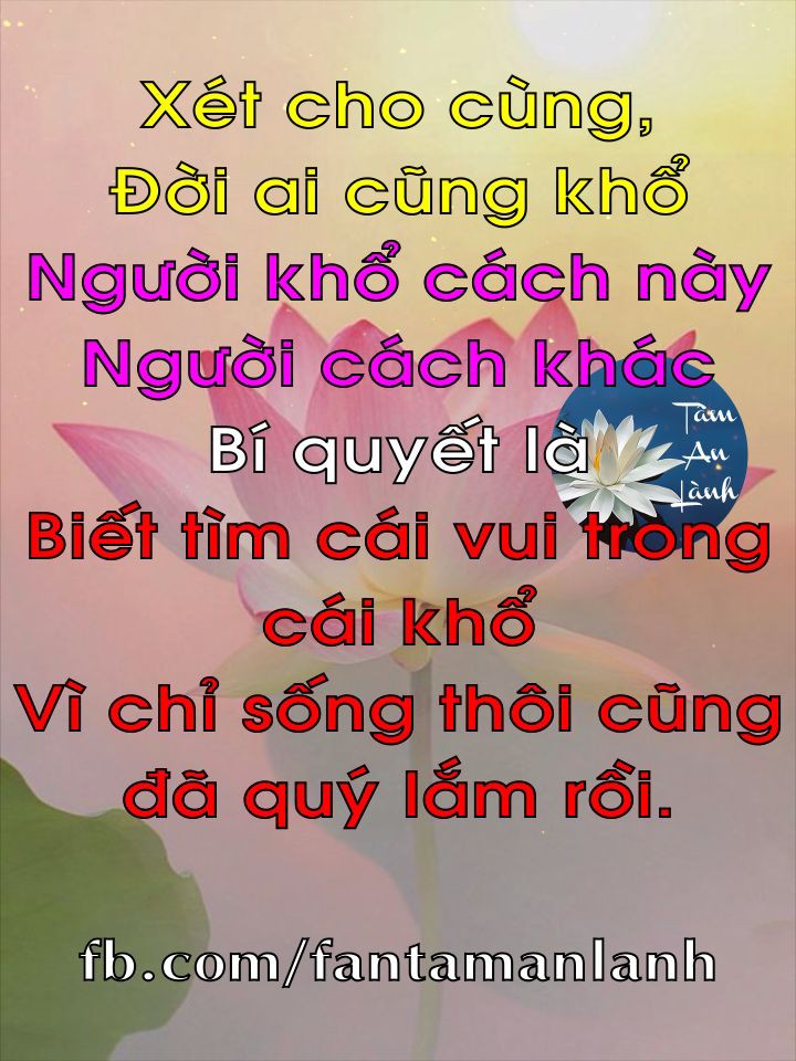978fbed599faa92e0da3ec3010ffafc3.jpg