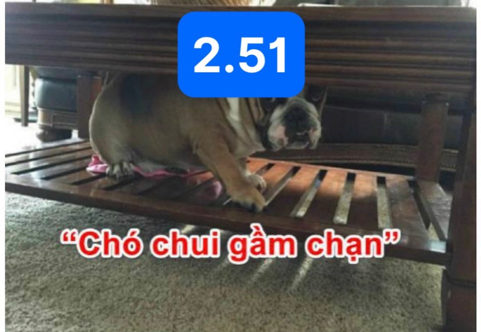 9BF84D22-B131-43C9-985C-778E96BC2B7A.jpeg