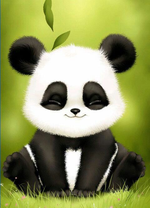 9ea3ae077279582fe7c3e4acc3c20ce8--bear-wallpaper-wallpaper-free.jpg