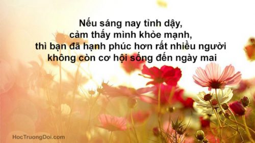 9EDD32A3-76EE-49F0-83CB-8124E24904C4.jpeg