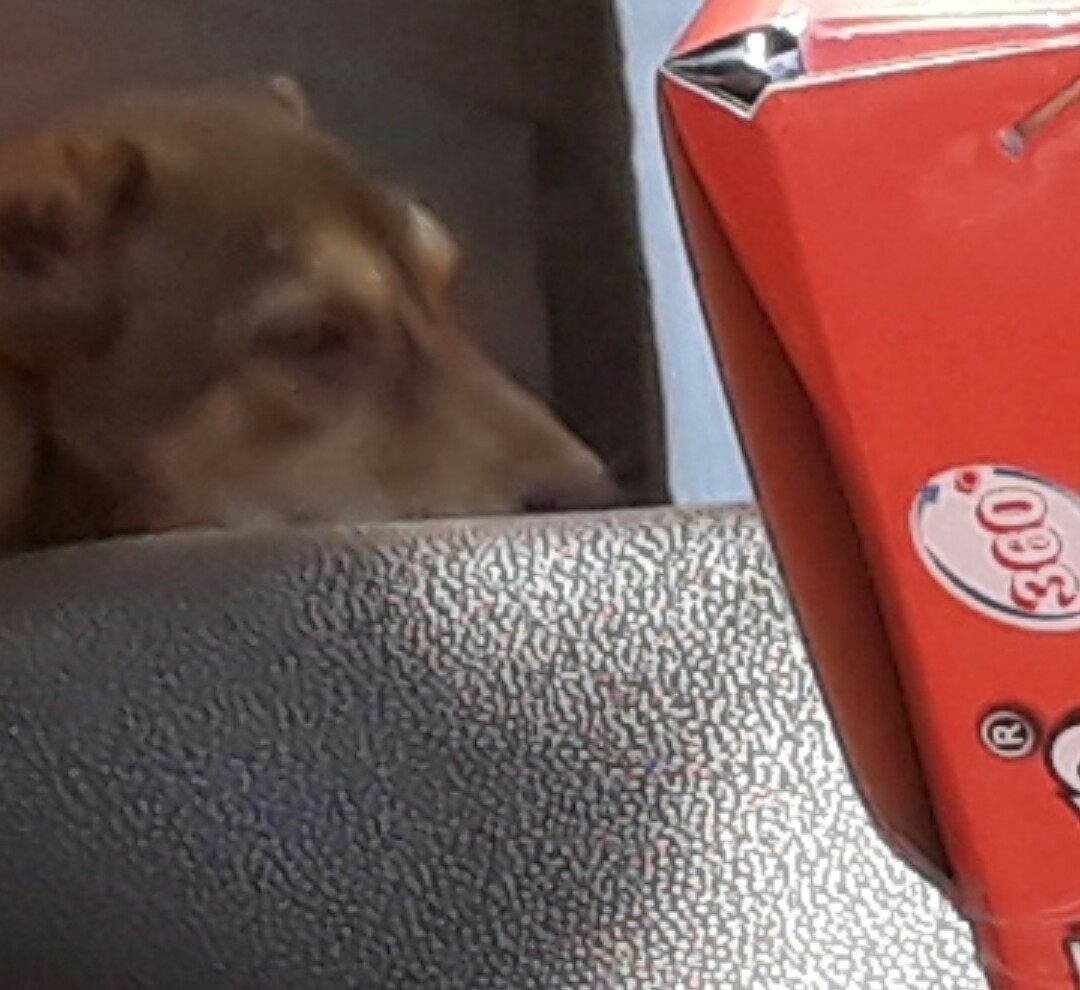_20190415_142602.JPG