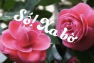 A025AD3A-35D1-4FFE-86E0-F38819BF4013.jpeg