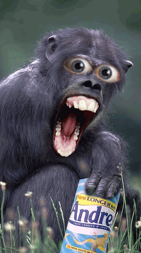 a5a71fd02e3f49900b09f9d49530a6d8.gif