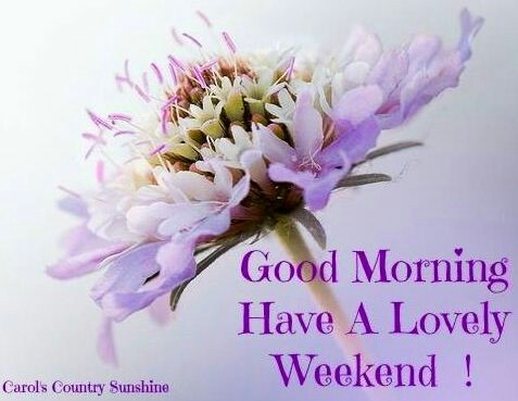 a96e3951cd94d7bec7f384549e186add.jpg