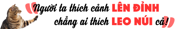 ai-cung-thich-thanh-cong-5.png