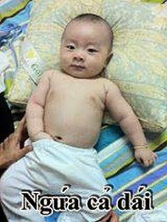 Anh-Che-Binh-Luan-Facebook-Hai-Huoc-Nhat-+(8).jpg