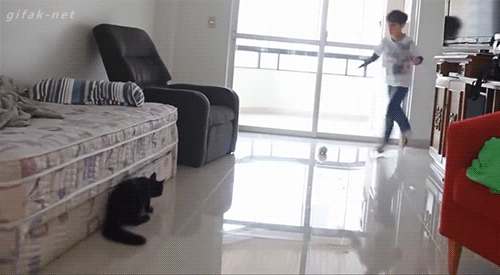 anh-dong-hai-huoc-40.gif