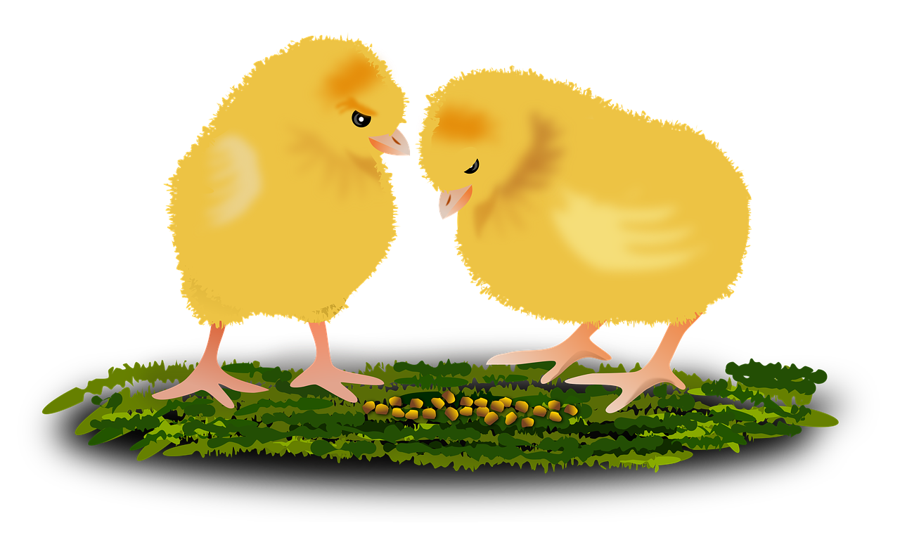 animal-1987425_1280.png