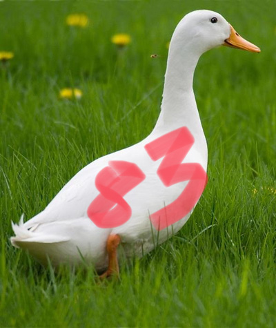 B2A08C19-41CE-4006-9C02-DAEAB62785D8.jpeg