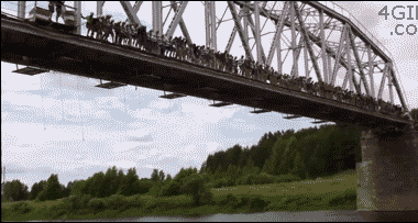 Bridgejumpswing.gif