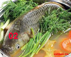 ca chep 02.jpg