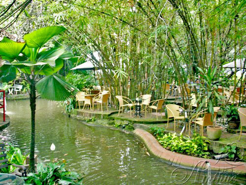 cafe-thuy-truc-4[1].jpg