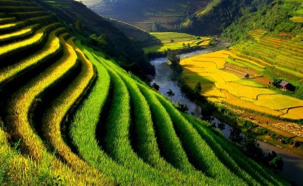 canh_1[1].jpg