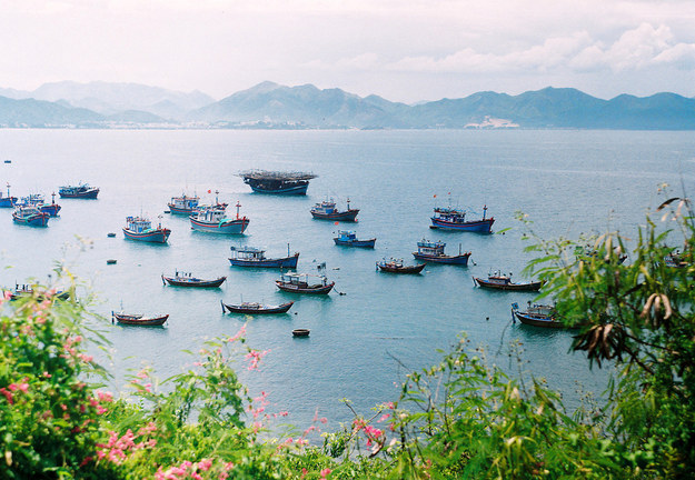 canh_10[1].jpg