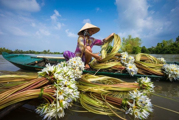 canh_8[1].jpg