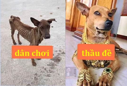 chos.PNG