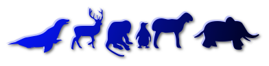 cooltext295974146687465.png