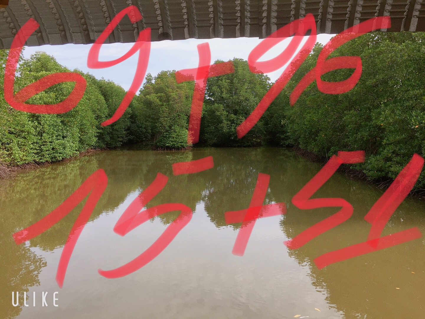 D150CF08-1DBA-4243-ADAE-AF03C26B011E.jpeg