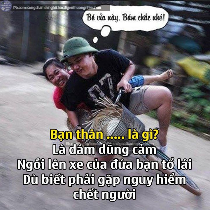 d5f3a1e1401c957e0f5cd40a63b72bba.jpg