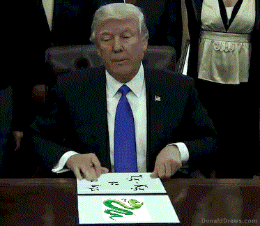 DonaldDraws1541256845145.gif