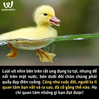 E5EF02BD-04F4-41F4-87AB-0B52D70AB3CE.jpeg