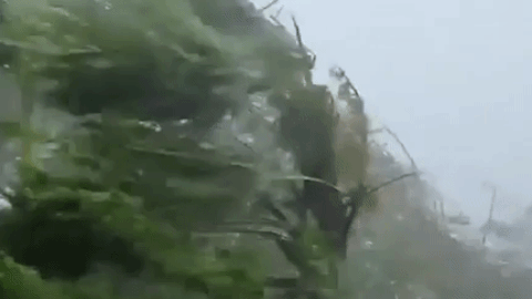 E919F0E6-5060-4604-AE1A-1DEC1AE736EA.gif