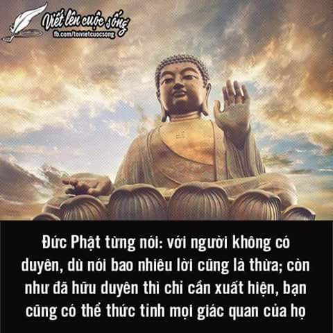 FB_IMG_1463561614230.jpg