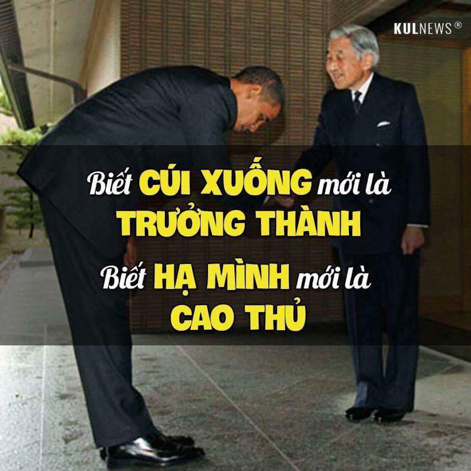 FB_IMG_1478794002822.jpg