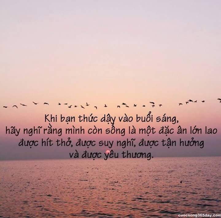FB_IMG_1496446614737.jpg