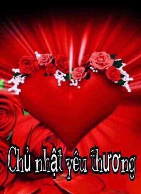 FB_IMG_1508722108118.jpg