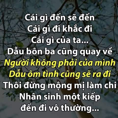FB_IMG_1539874836353.jpg