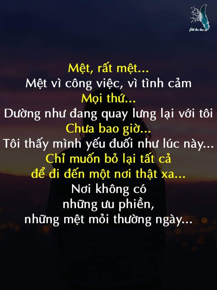 FB_IMG_1540482578311.jpg
