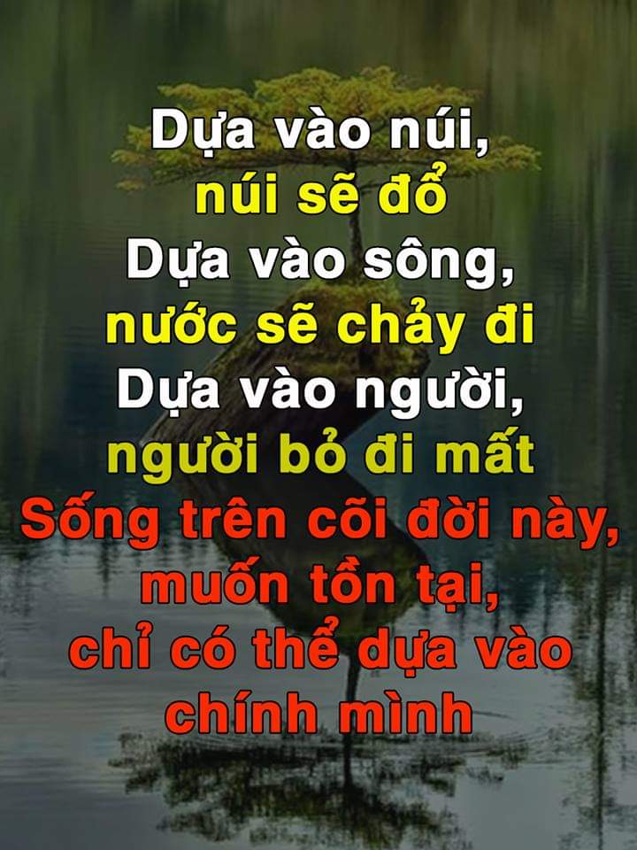 FB_IMG_1544875617625.jpg