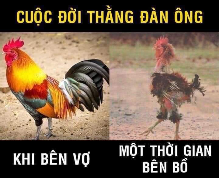 FB_IMG_1577247919938.jpg