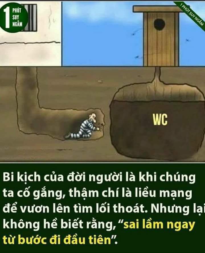 FB_IMG_1598621076678.jpg