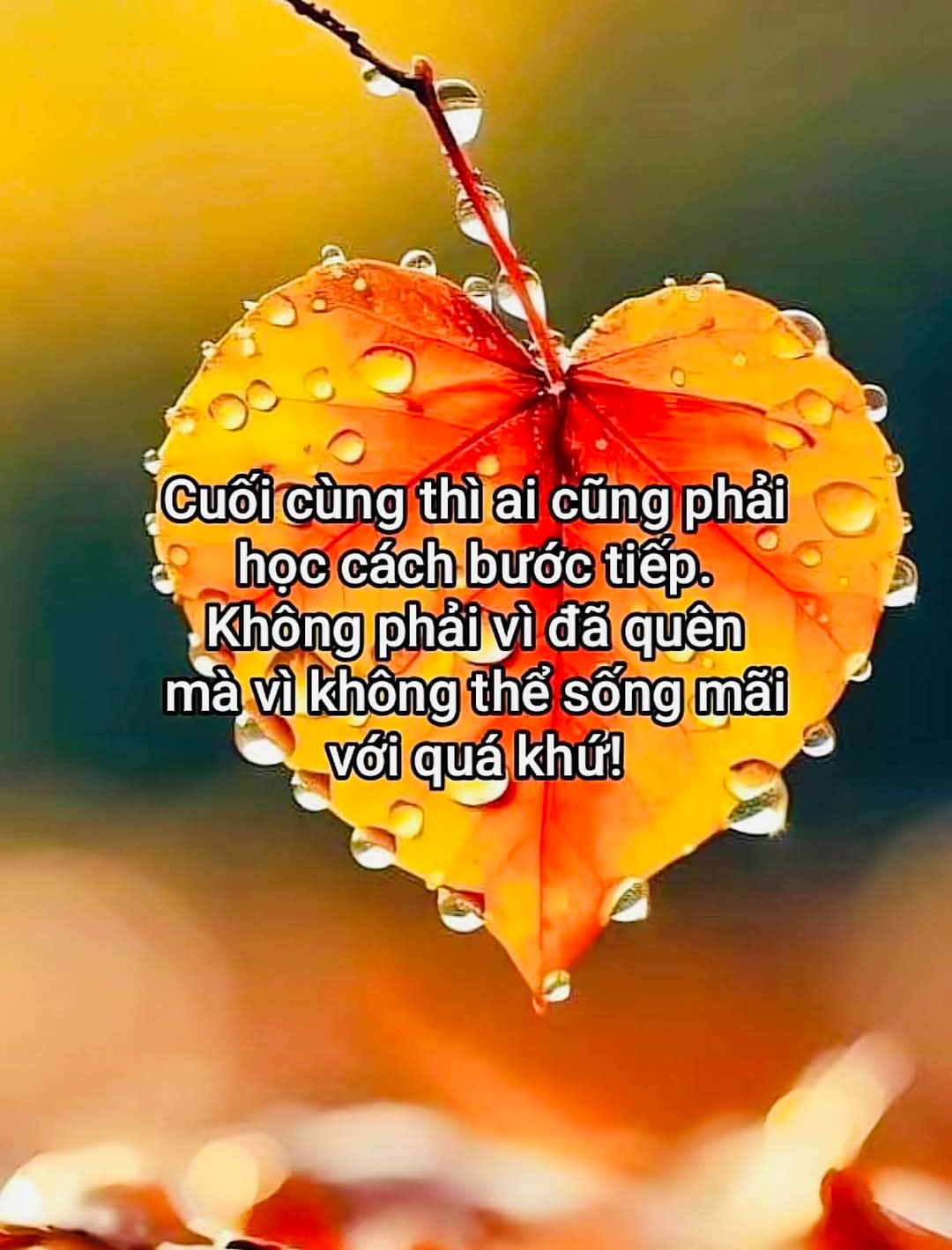 FB_IMG_1744119649950.jpg