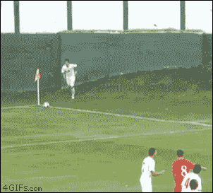giphy (1).gif